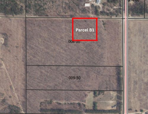 Parcel B1 Peterson Road, Custer Township, MI, 49659 | Card Image