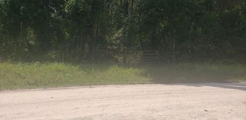 1455 Ne 364th Ave, OLD TOWN, FL, 32680 | Card Image