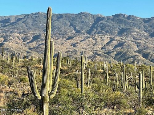 1-3051 N Placita De Nazca, Tucson, AZ, 85749 | Card Image