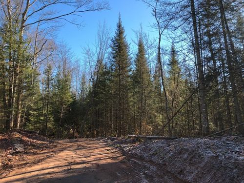 lot-6-Off East Bay Rd, Presque Isle, WI, 54557 | Card Image