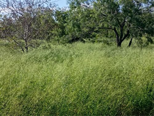 364 Deer Meadows Drive, Alice, TX, 78332 | Card Image