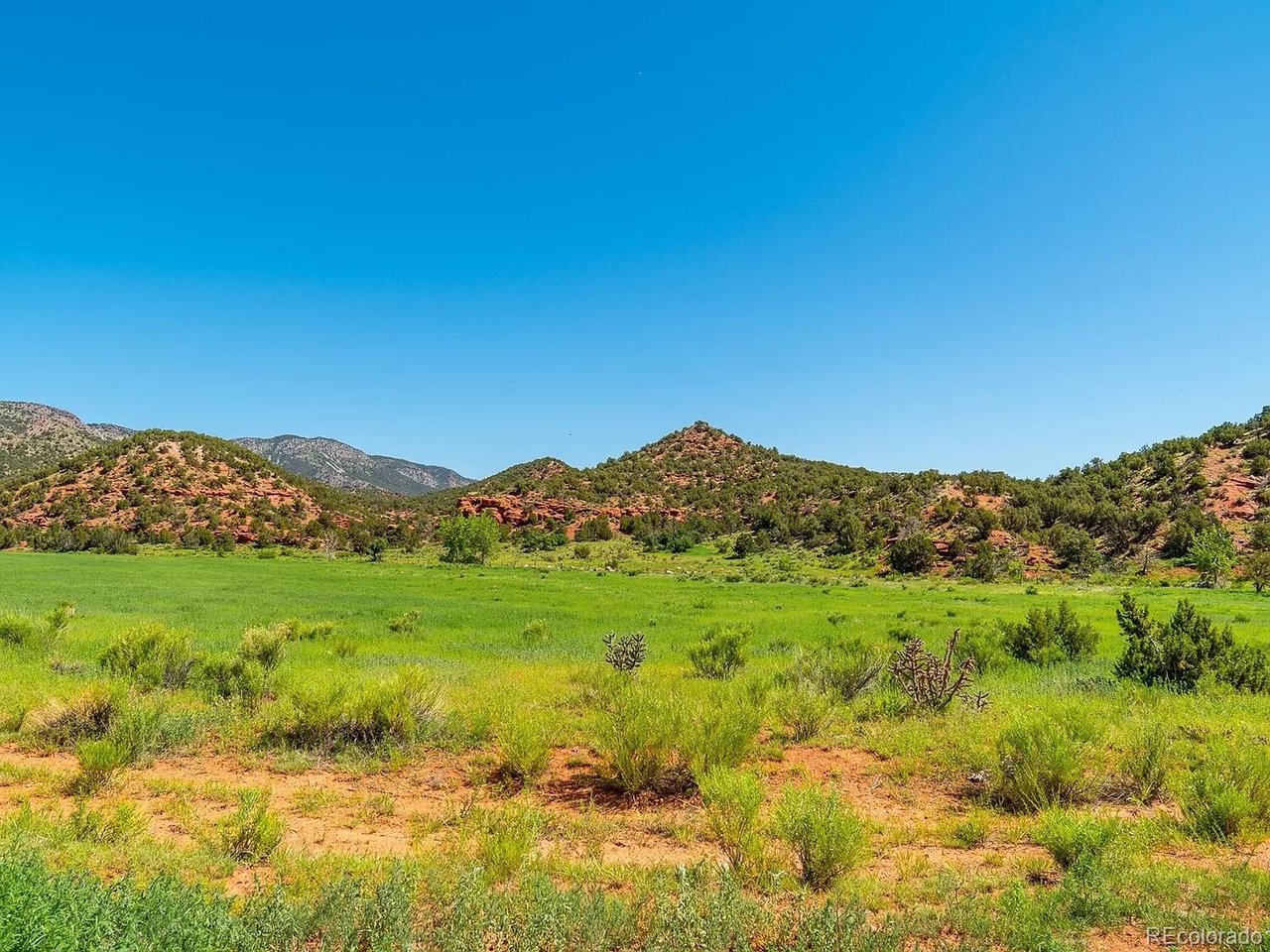 Land in Canon City