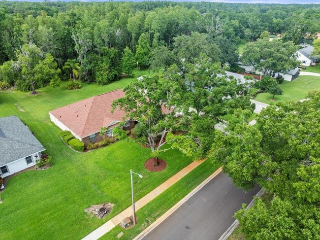 1015 Hastings Ct, House other with 3 bedrooms, 3 bathrooms and null parking in LUTZ FL | Image 37