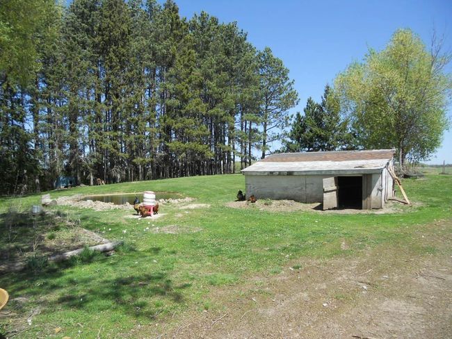 Chicken Coop | Image 13