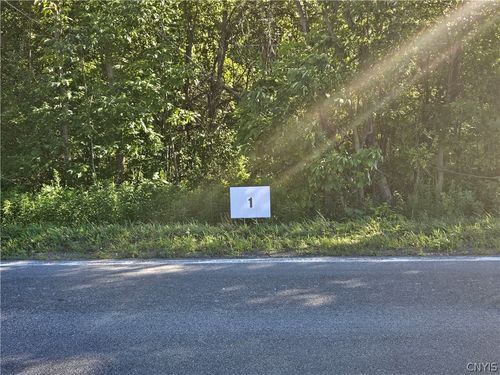 Lot 1 Rt 58, Mexico, NY, 13114 | Card Image