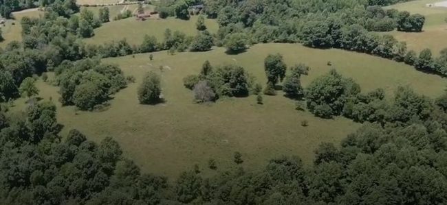 33.64 ac Davis Rd, Home with 0 bedrooms, 0 bathrooms and null parking in Livingston TN | Image 15