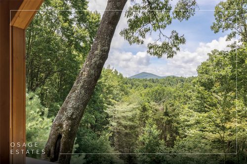 170 Osage Ln, Scaly Mountain, NC, 28775-9505 | Card Image