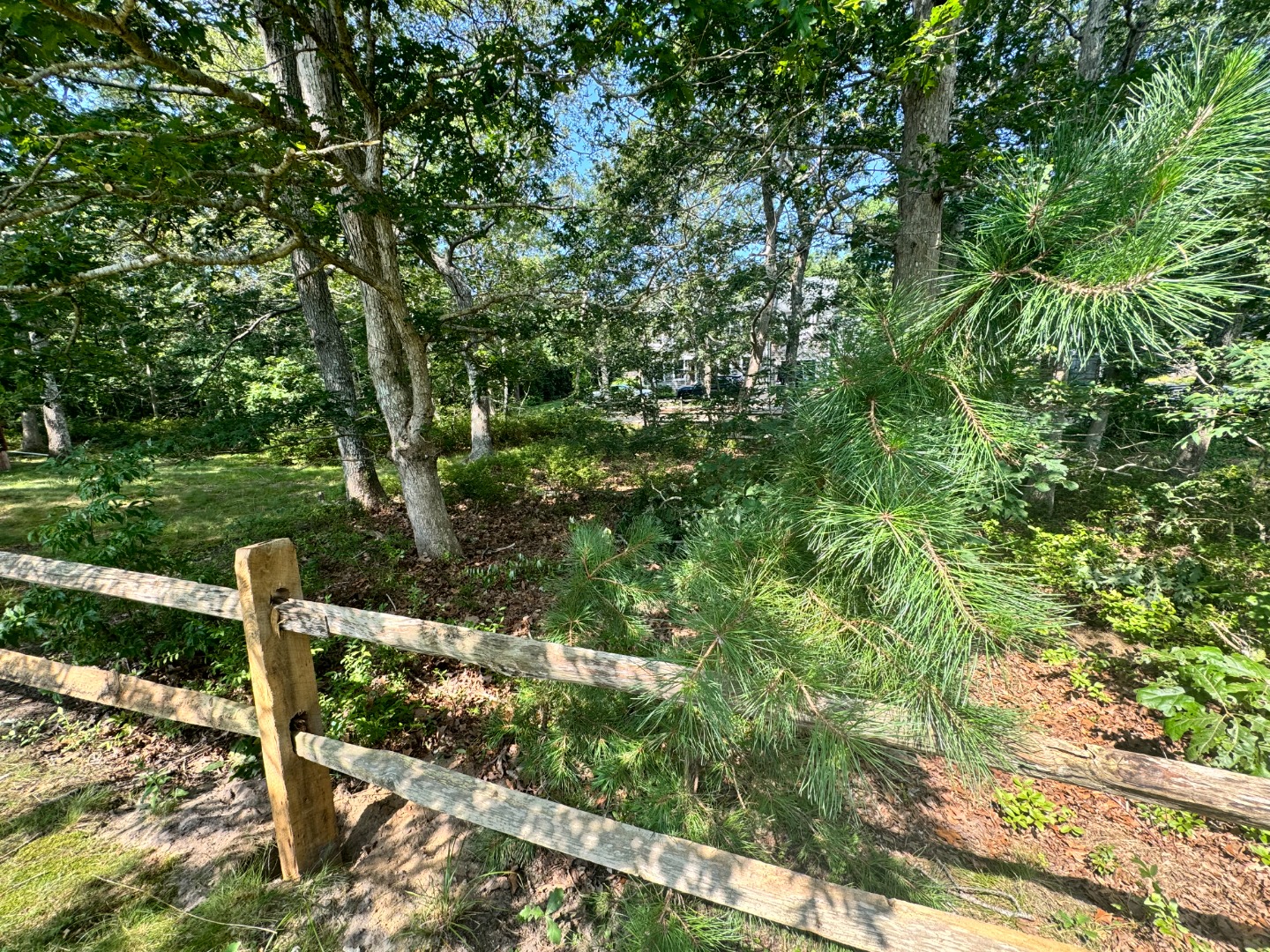 Land in Oak Bluffs 4