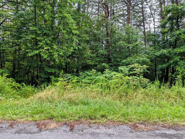 32 Lakeview Dr, Home with 0 bedrooms, 0 bathrooms and null parking in Turtletown TN | Image 10
