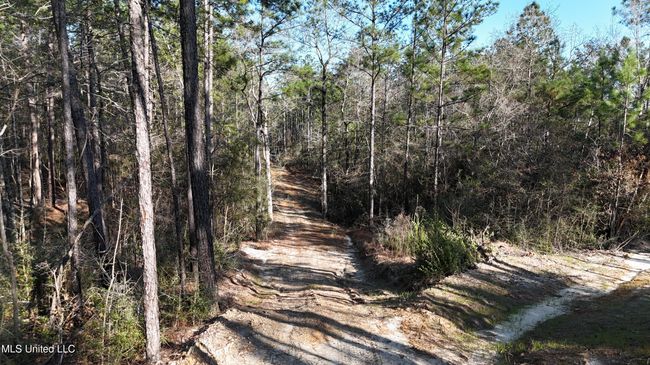 Trails 24 | Image 19