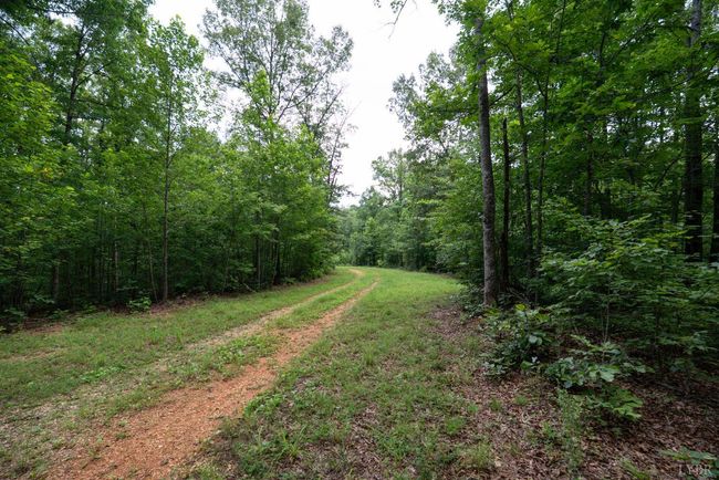 0 Allens Creek Rd, Home with 0 bedrooms, 0 bathrooms and null parking in GLADSTONE VA | Image 9