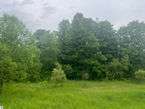 00 Wood Rd Ne, Kalkaska, MI, 49646 | Card Image