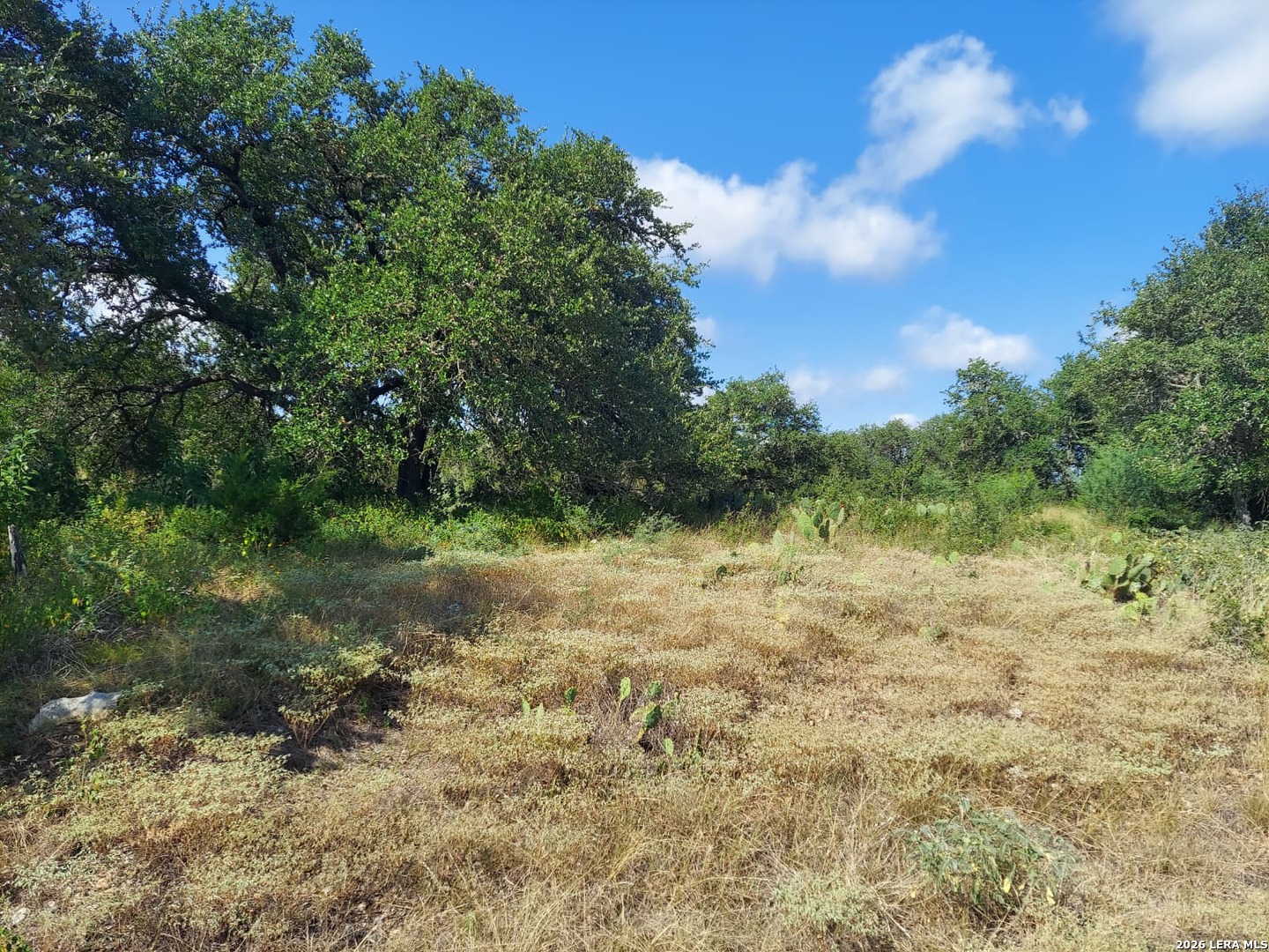 Land in New Braunfels 2