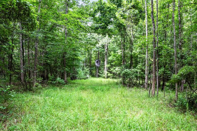 HFL_HUGER-15 | Image 13