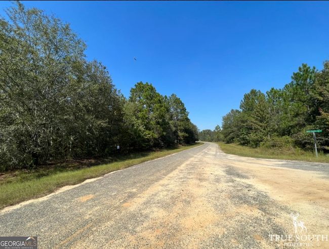 0 John S Horton Rd, Home with 0 bedrooms, 0 bathrooms and null parking in Adrian GA | Image 21