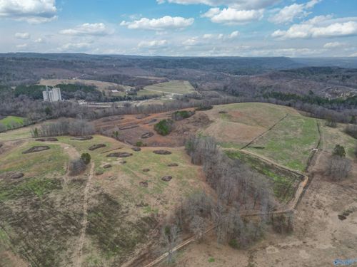 189 acres Carnes Chapel Road, Attalla, AL, 35954 | Card Image