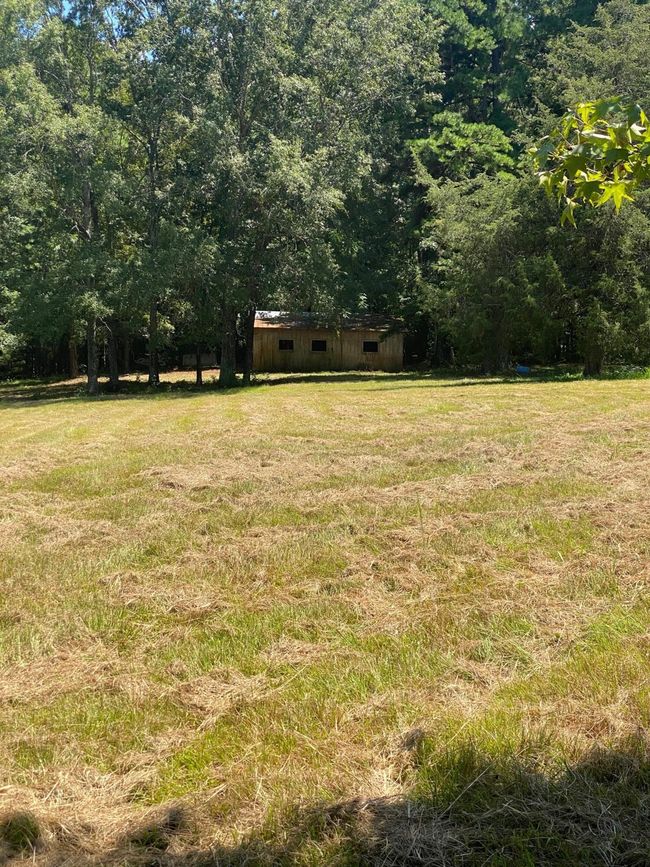 pic 5 | Image 6