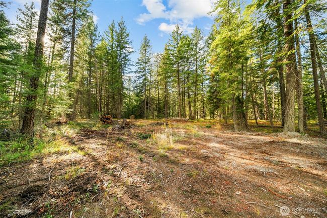 0 S Shugart Flats Rd, Home with 0 bedrooms, 0 bathrooms and null parking in Leavenworth WA | Image 21