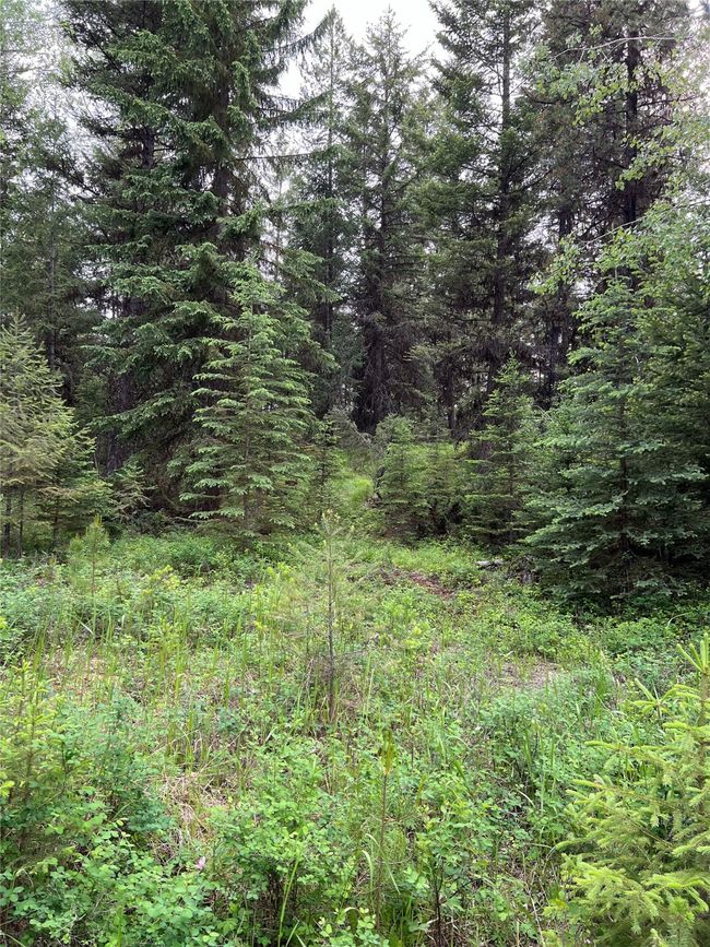 open areas - what would you put here? | Image 89