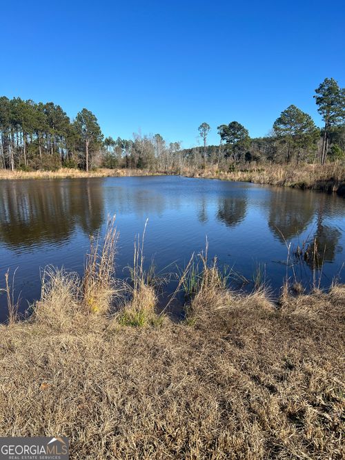 0 Marchants Dairy Road, Rhine, GA, 31077 | Card Image