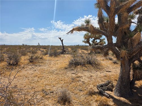 122-29-009 S Tom Mix Road, Yucca, AZ, 86438 | Card Image