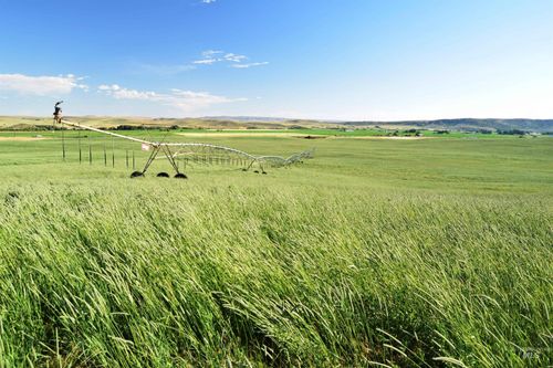 TBD Highway 95, Cambridge, ID, 83610 | Card Image