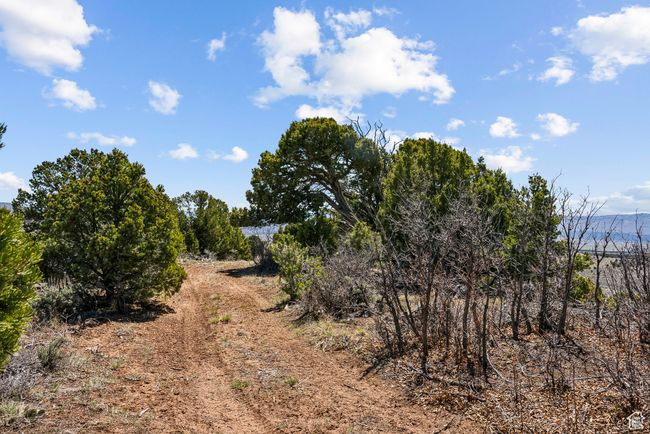 road on middle ridge | Image 75