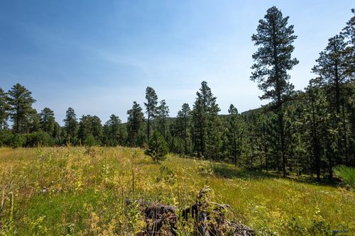 wild-turkey-court-Tract 3 Magpie Rd, Lead, SD, 57754 | Card Image