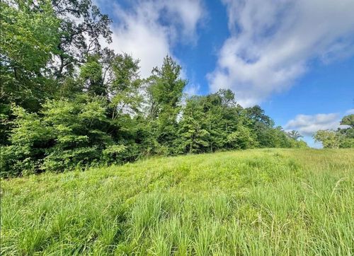TBD County Road 369, Winona, TX, 75792 | Card Image