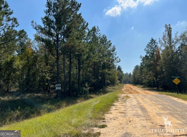 0 John S Horton Rd, Home with 0 bedrooms, 0 bathrooms and null parking in Adrian GA | Image 10