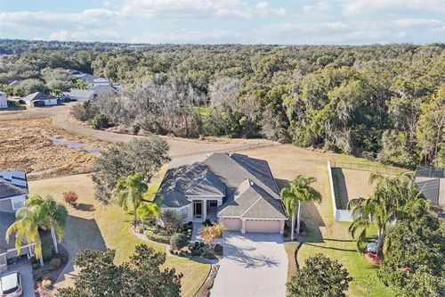 6114 Tremayne Dr, MOUNT DORA, FL, 32757-8021 | Card Image