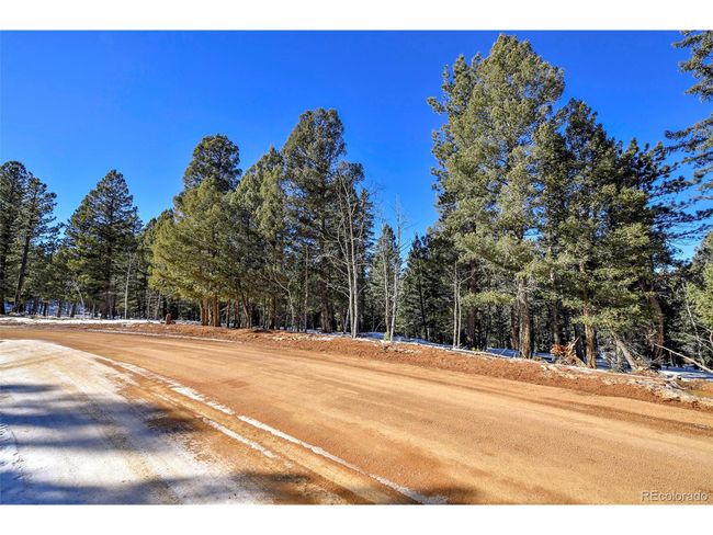 810 Ridge Rd, Home with 0 bedrooms, 0 bathrooms and null parking in Divide CO | Image 10