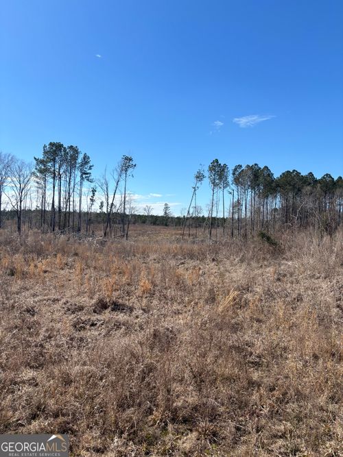 0 Glover Rd, Davisboro, GA, 31018 | Card Image