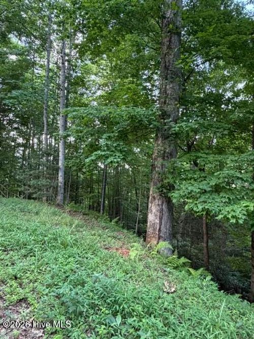 Lot 59 Quiet Mountain Trl, Murphy, NC, 28906 | Card Image