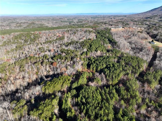 Lot 2- 0 Bowen Rd, Home with 0 bedrooms, 0 bathrooms and null parking in Pinnacle NC | Image 18