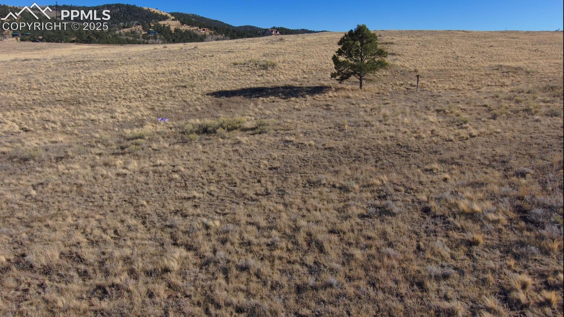 Land in Westcliffe 3