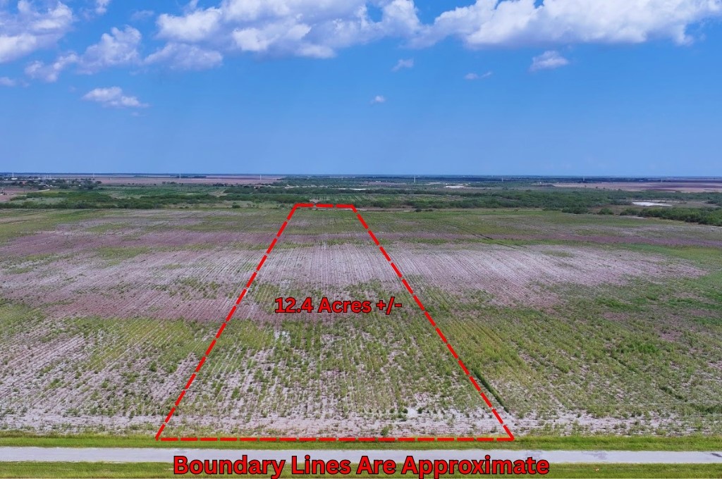 Land in Kingsville