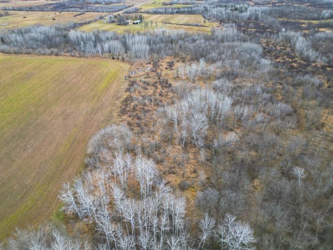 DJI_0384.JPG | Image 32