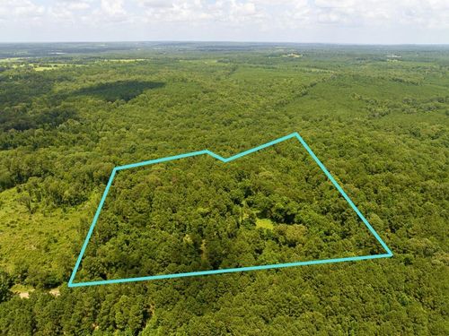 0 County Road 437, Laneville, TX, 75667 | Card Image