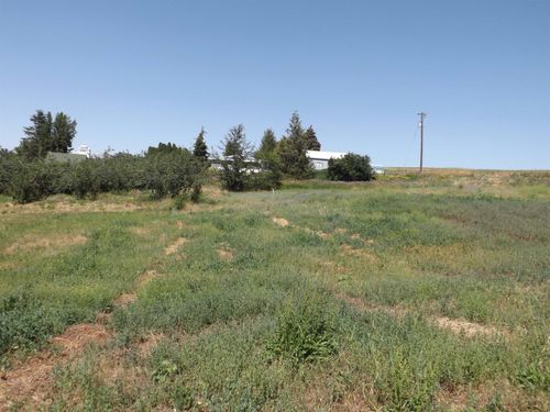 xxx A St, Rosalia, WA, 99170 | Card Image