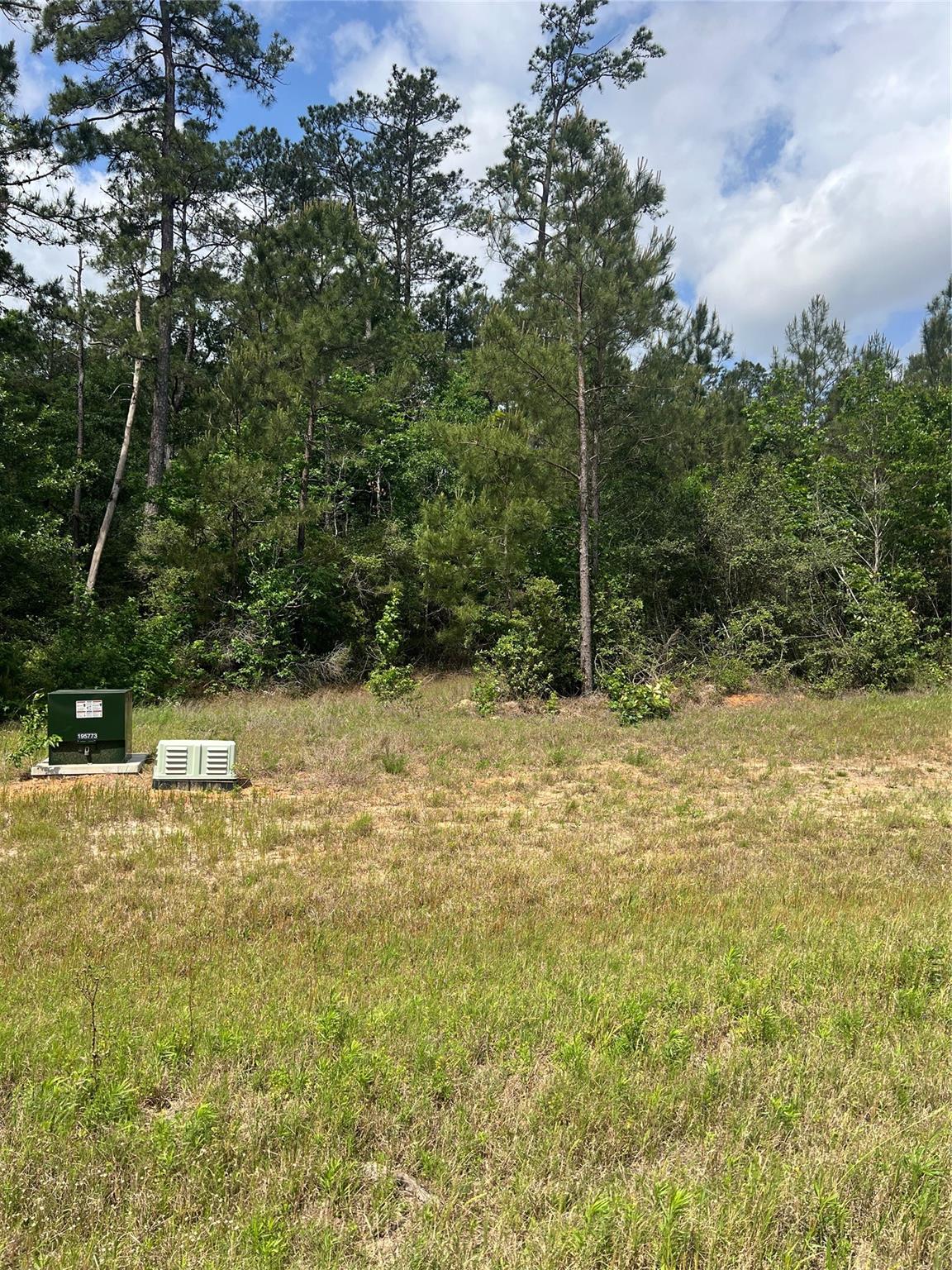 Land in Willis 2