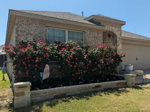 1703 Sorghum Dr, Princeton, TX, 75407-0256 | Card Image