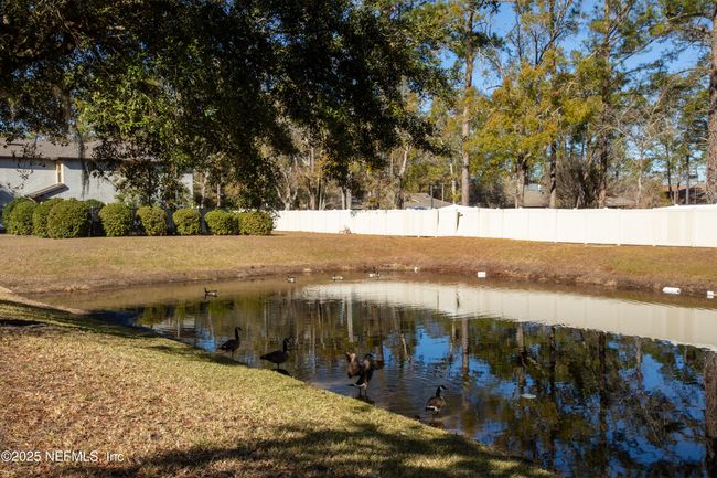 4628 Gerber Ct, Townhouse with 2 bedrooms, 3 bathrooms and null parking in Jacksonville FL | Image 40