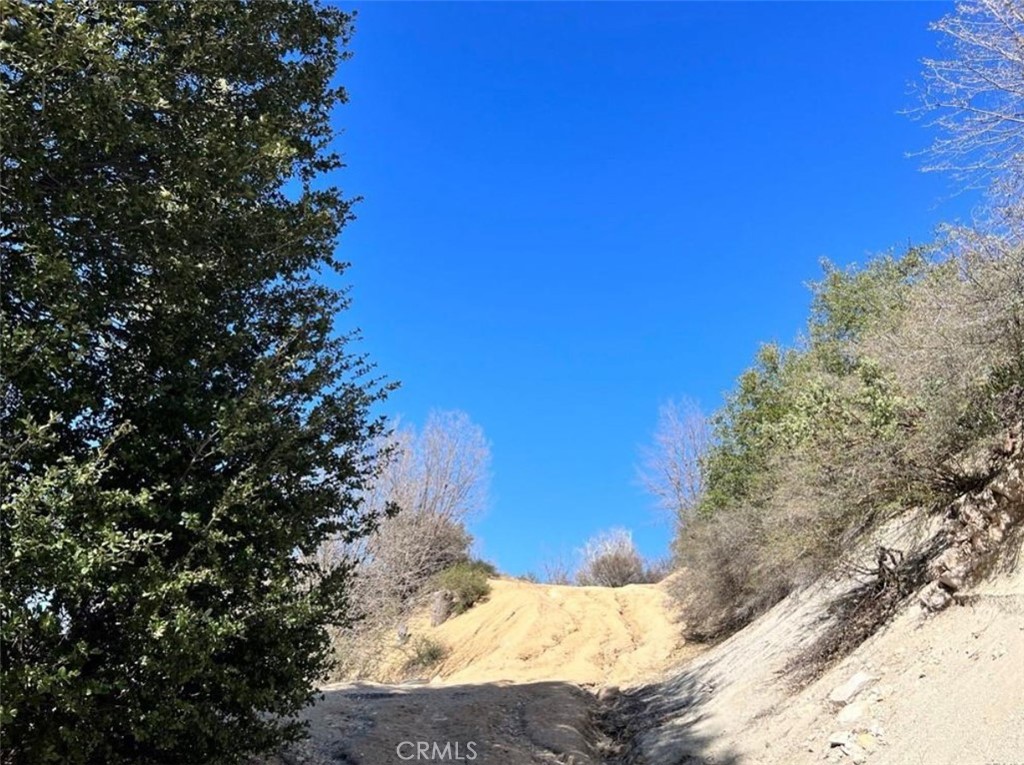 Land in Cedar Glen 3