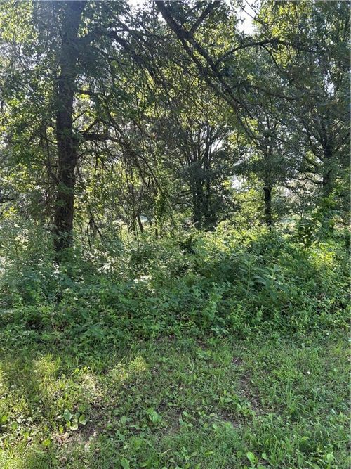 4019 Savannah Dr, Harrison, AR, 72601-4342 | Card Image