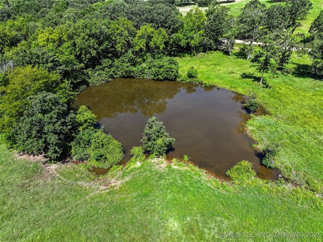 Pond | Image 34