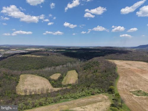TRACT 4: 39.99+/- ACRES Union Furnace Rd, Tyrone, PA, 16686 | Card Image