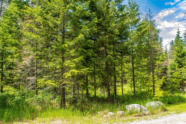 695 Latigo Ln, Home with 0 bedrooms, 0 bathrooms and null parking in Bigfork MT | Image 8