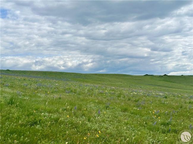 15.9 Ac Buck Creek Road, Home with 0 bedrooms, 0 bathrooms and null parking in Absarokee MT | Image 12