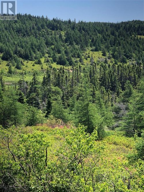 0 Black Duck Pond Road, Bareneed, NL, A0A1W0 | Card Image